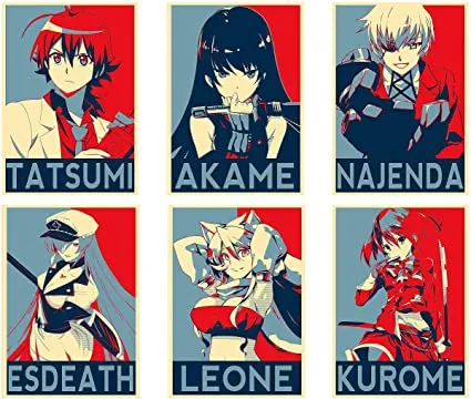 Akame Ga Kill  Night Raid from Akame Ga Kill! aniem