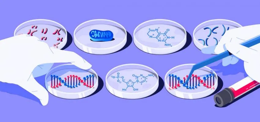 DNA test