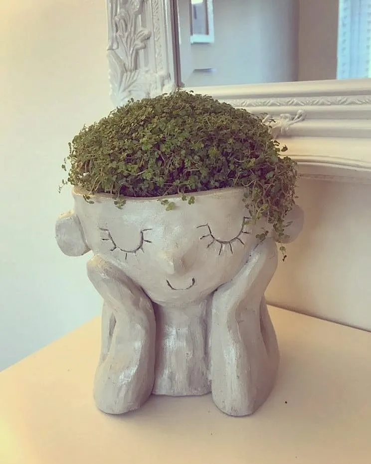 plant pot