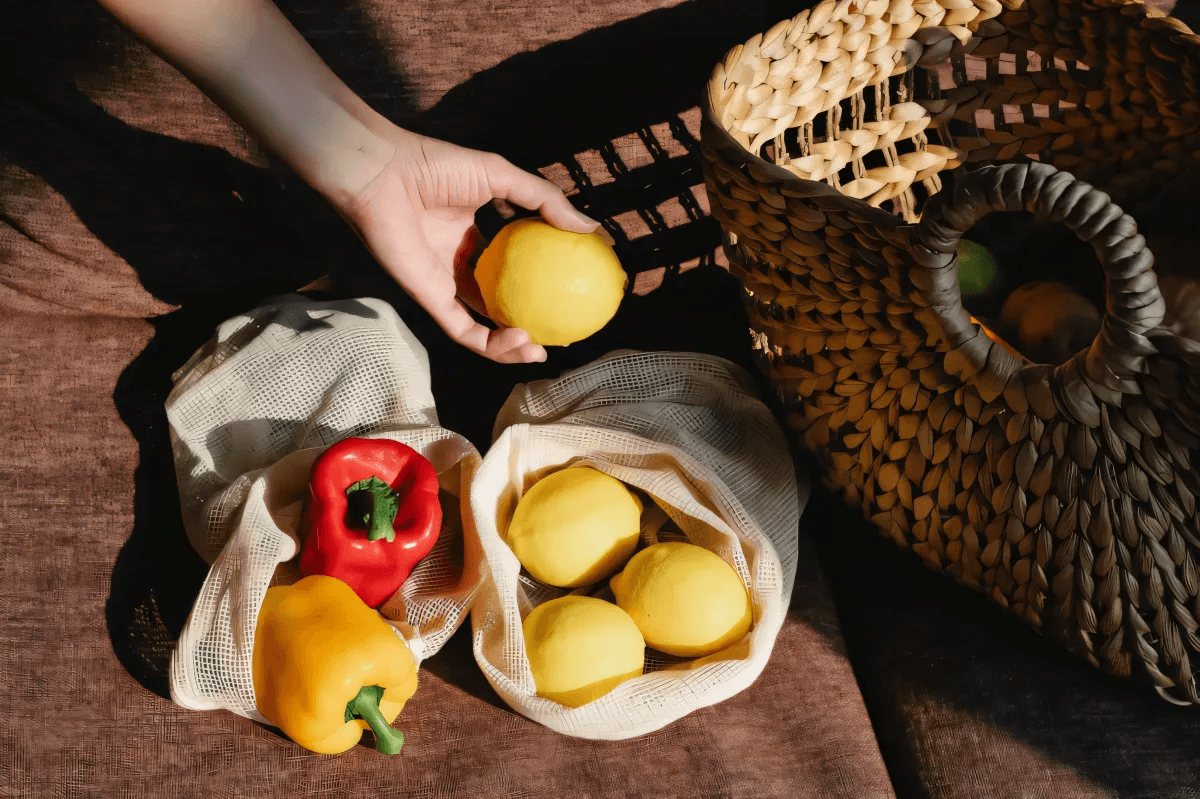 10 façons de vivre un style de vie respectueux de l'environnement by Alyssa Hubbard