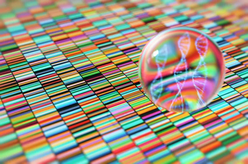 Smart Biomaterials