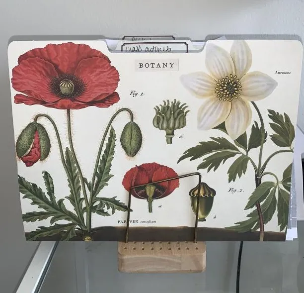 ways to create perfect boho dorm room