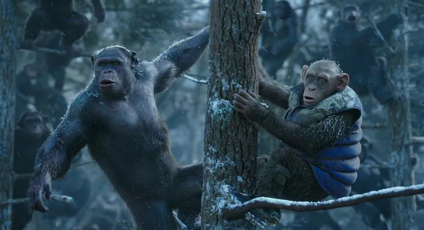 War For the Planet Apes saw Caesar and his clan