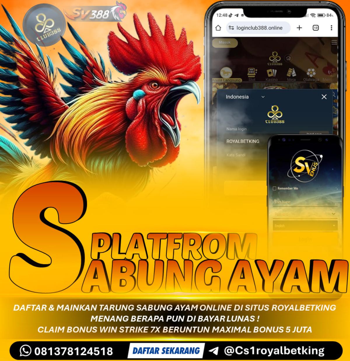 OYALBETKING X PLATFROM SABUNG AYAM ONLINE CLUB388/SV388 TERBARU by AGENROYALBETKING