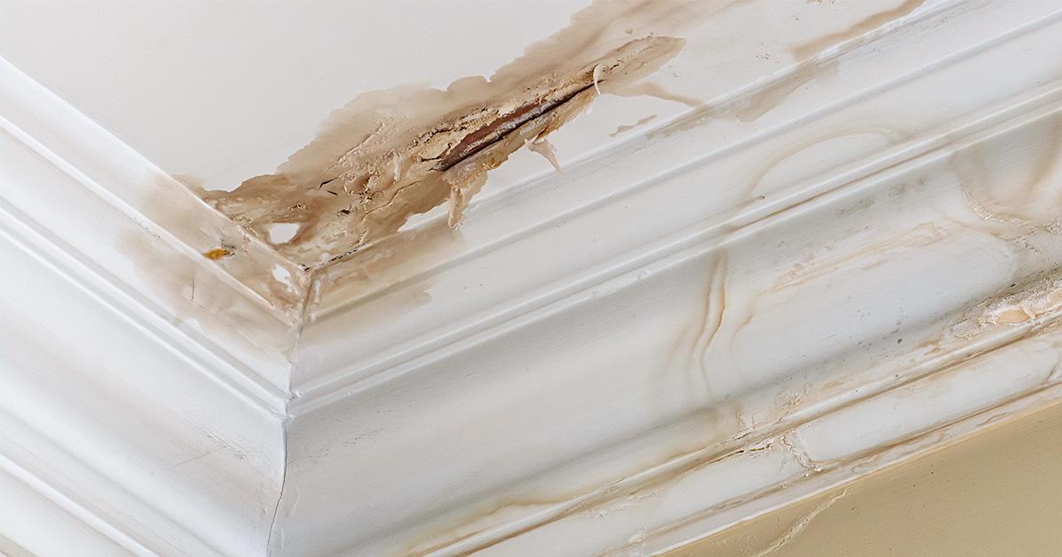 The Importance Of Catching Roof Leaks Before They Become Major Problems by Samist