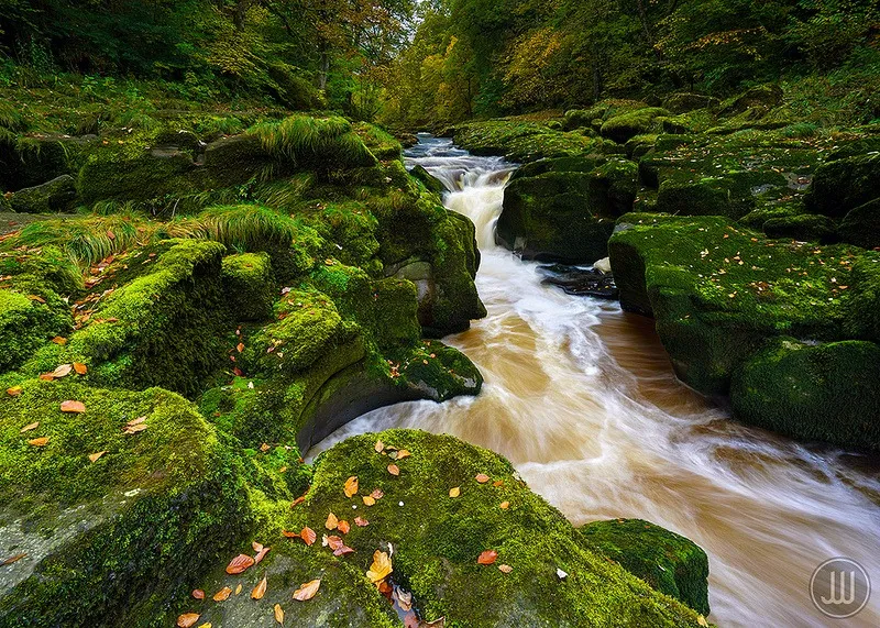 The Strid near Bolton Abbey