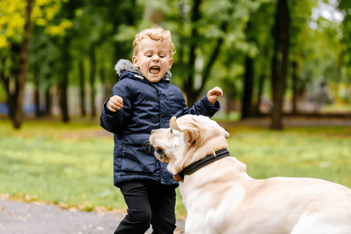 How To Stop Being Afraid Of Dogs How To Stop Being Afraid Of Dogs by R.K. Wickham