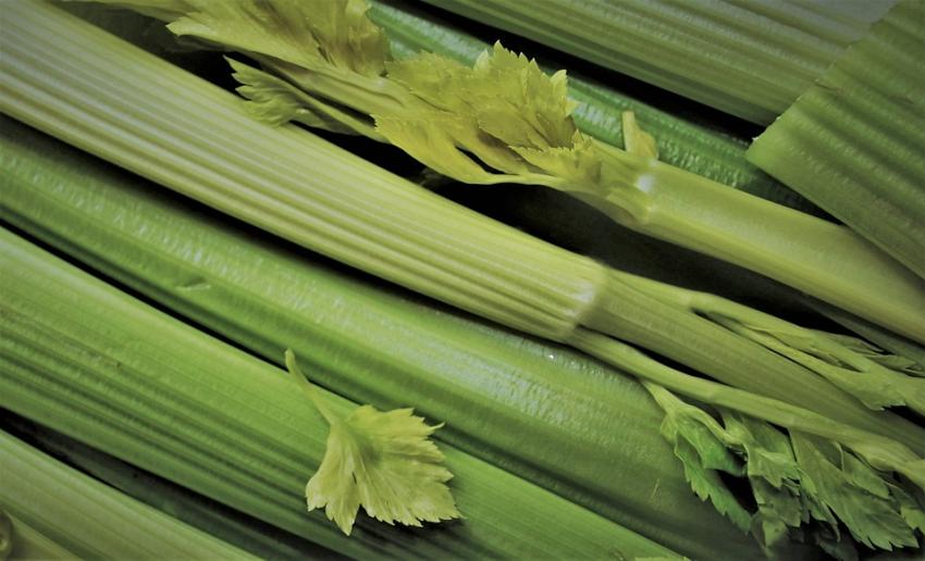 Celery Sticks Celery Sticks to show what is being substituted