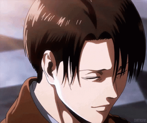 levi ackerman why people love levi ackerman