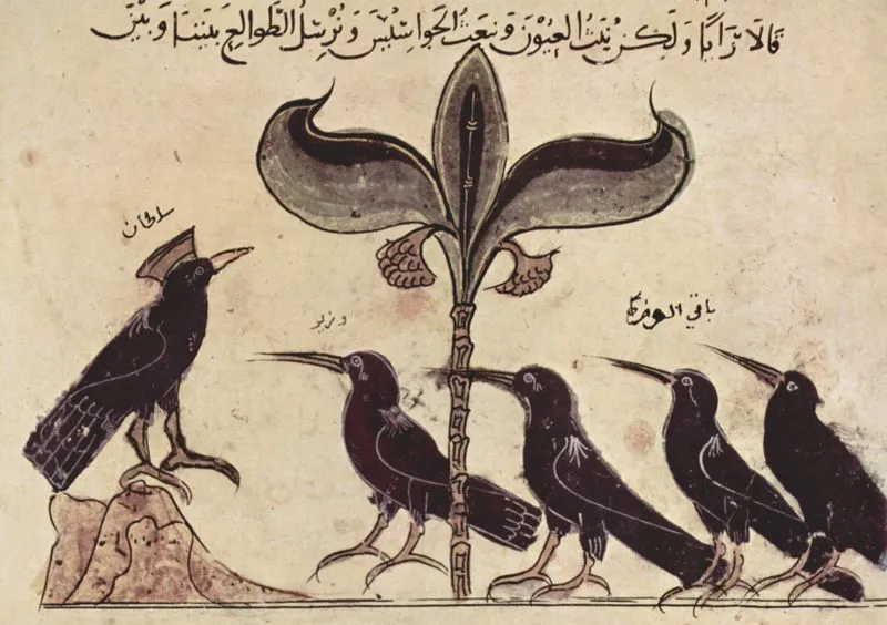 Crows at court myths of crows being subjected to trials