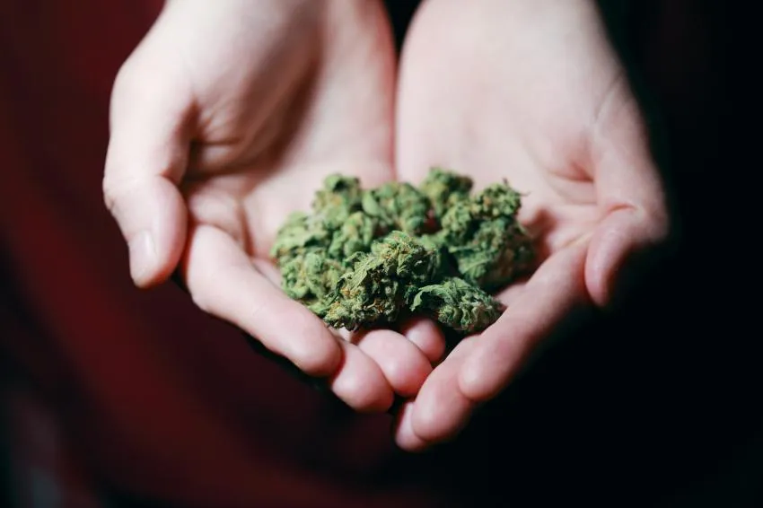 Do NOT plan on trying new recreational drugs Do NOT plan on trying new recreational drugs