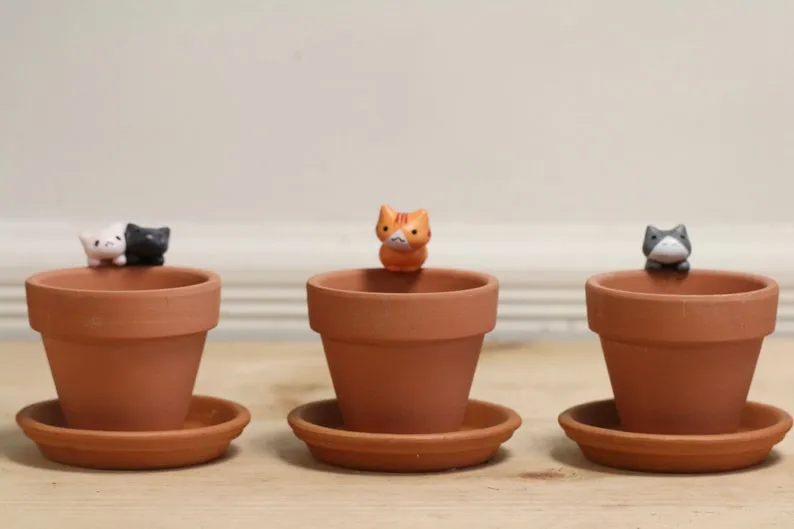 Cat themed planters 