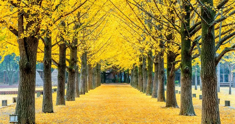 popular location for kdrama filming