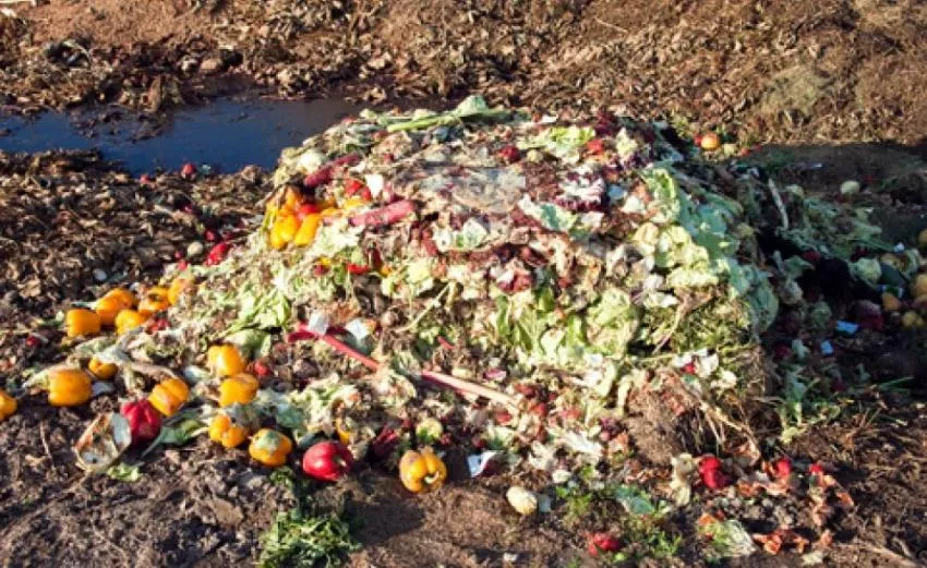The UK throws away 7 million tonnes of food every year