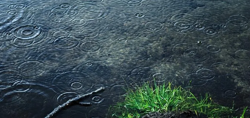drops of rain drops of rain
