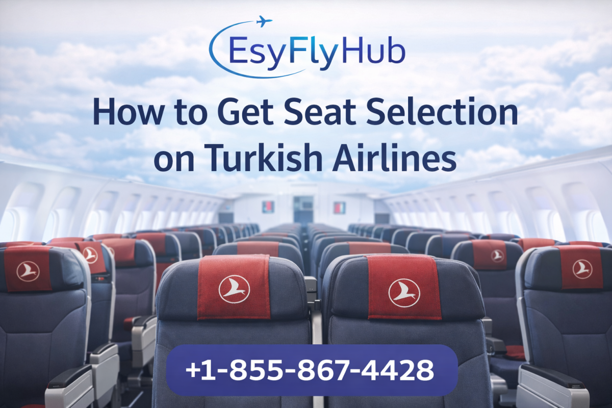 How To Get Seat Selection On Turkish Airlines by noaheo