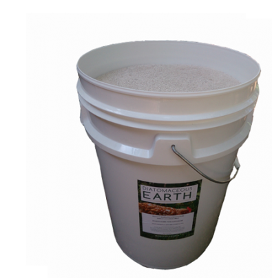 Diatomaceous Earth Food Grade: Safe And Effective Uses You Should Know Diatomaceous Earth Food Grade: Safe And Effective Uses You Should Know by Diatomaceous Earth Online