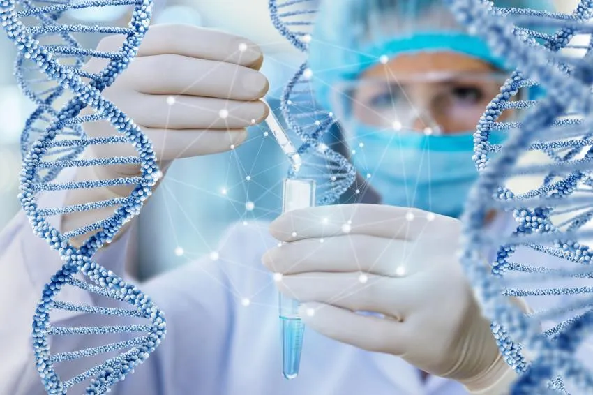 Reprogram Epigenome