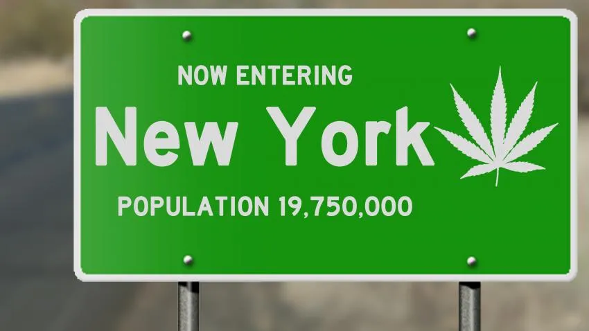 New York Legalizes Recreational Marijuana New York Legalizes Recreational Marijuana, Newsweek
