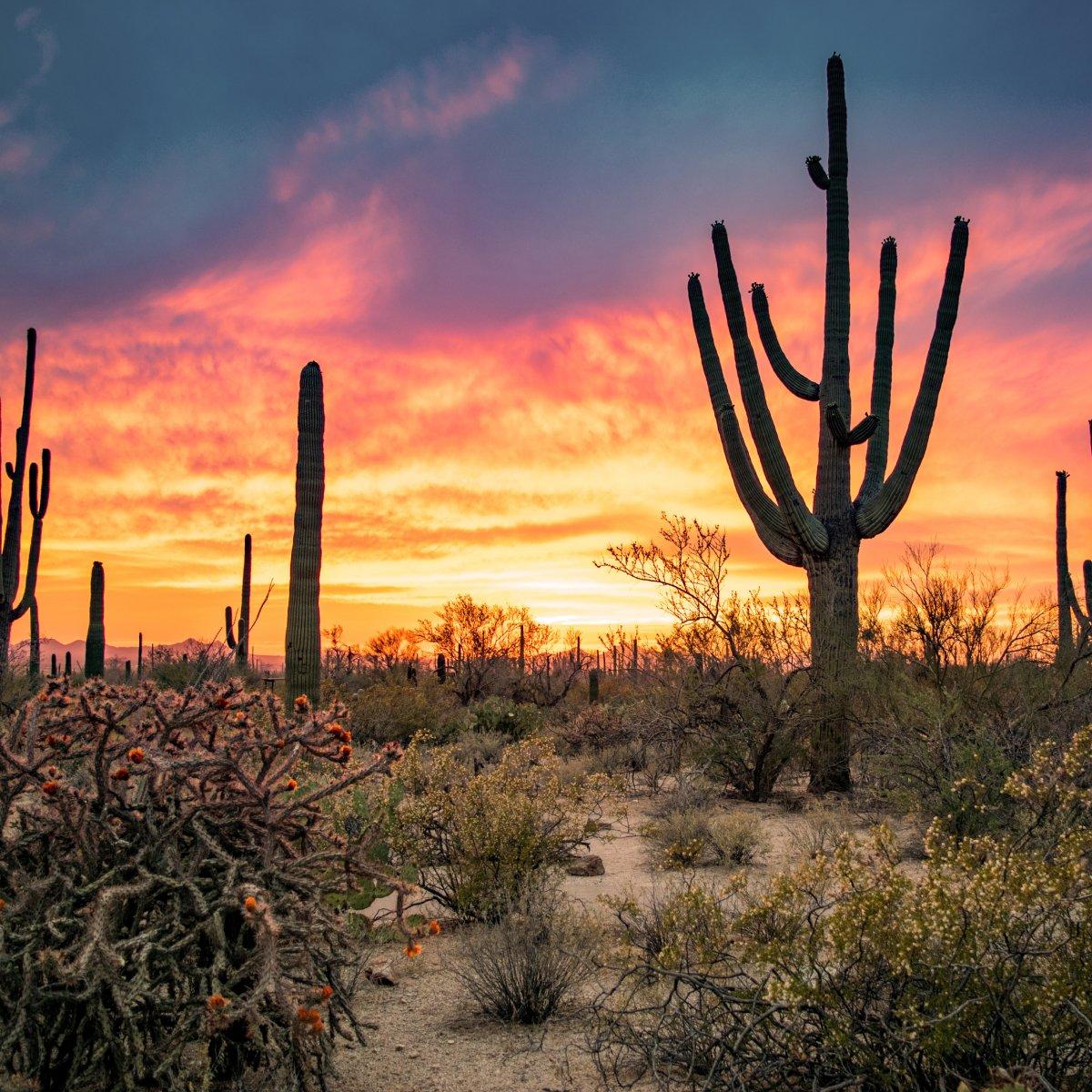 A Magical Experience: Visit Taj Mahal On A Day Tour With Hello India Tour by Hello India Tour