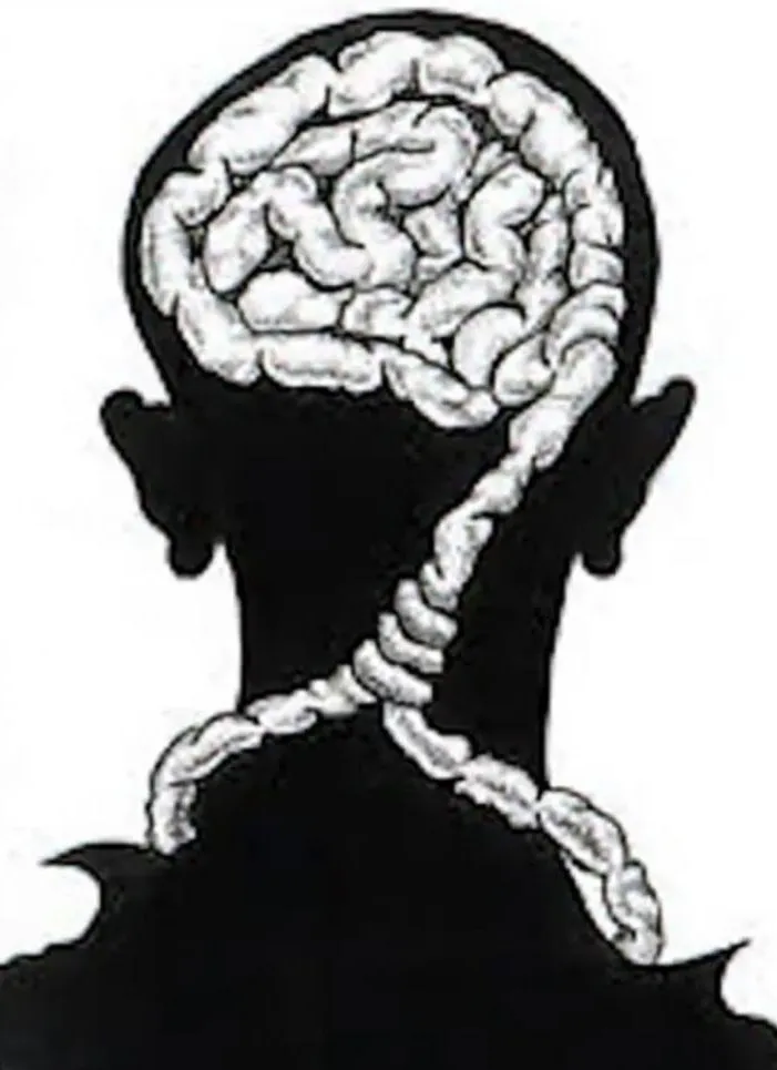 Noose of thought