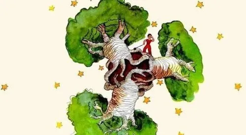 baobab; smallness of individual