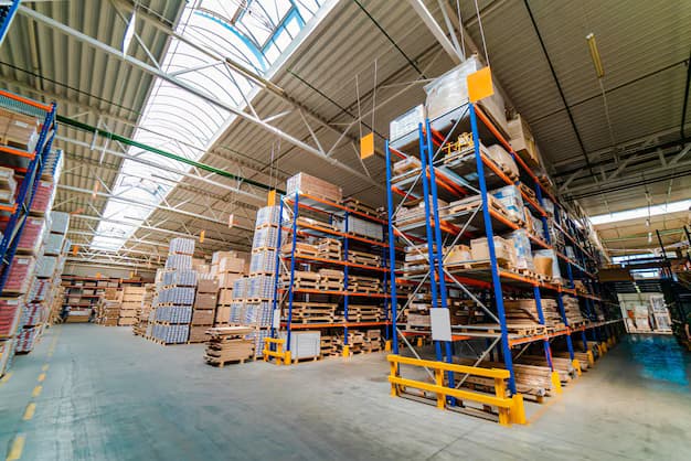 Warehouse Racking System Designs For Maximum Space Utilisation by Dalvie Systems 