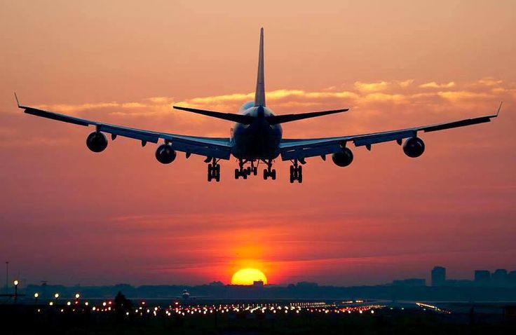 Turkish Airlines Valletta Office Contact Number +1–888–738–0817 by Sofia8126