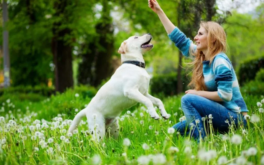 spending time with pets