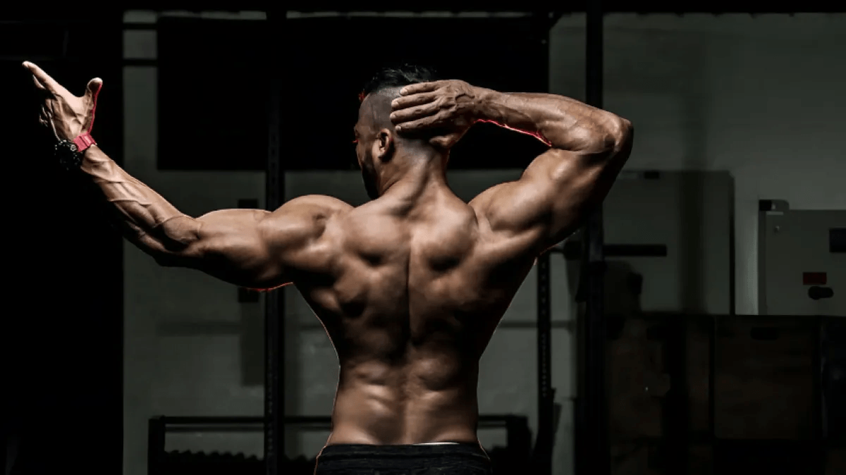 12 Reasons Why The Pull-up Is Crowned The Name: The Emperor Of Upper Body Exercises by Ethan Oilar