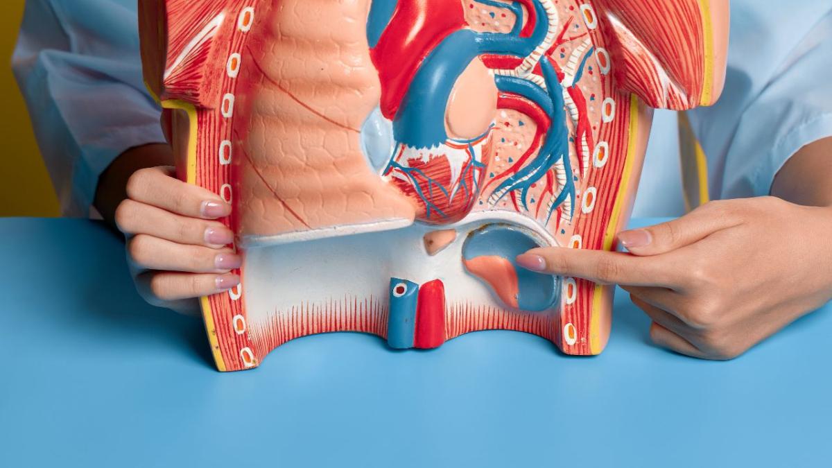 Kidney Stones : What You Must Know ? Kidney Stones : What You Must Know ? by Amcare