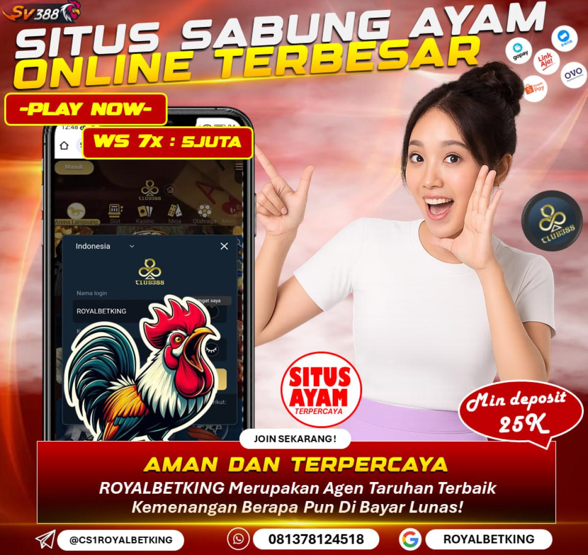 AGEN SITUS SABUNG AYAM ONLINE CLUB388 | DAFTAR SABUNG AYAM ONLINE CLUB388 by AGENROYALBETKING