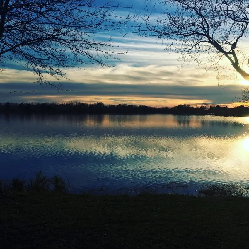 A quiet pond at dusk A quiet pond