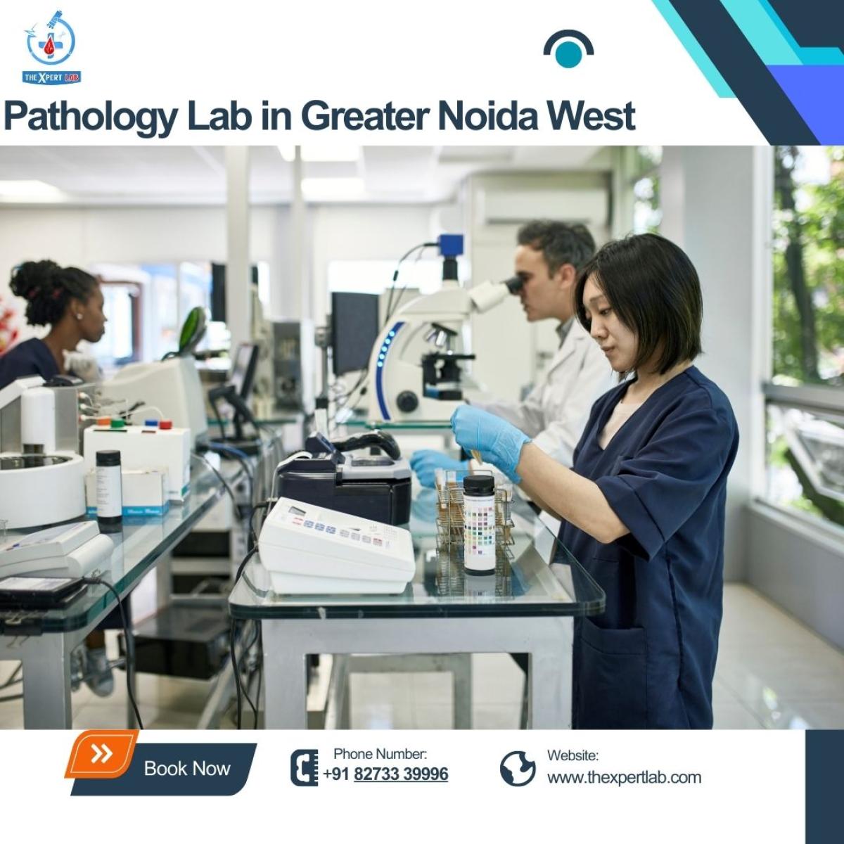 Pathology Lab In Greater Noida West: Your Guide To Quick Full Body Checkups With Thexpertlab by thexpertlab