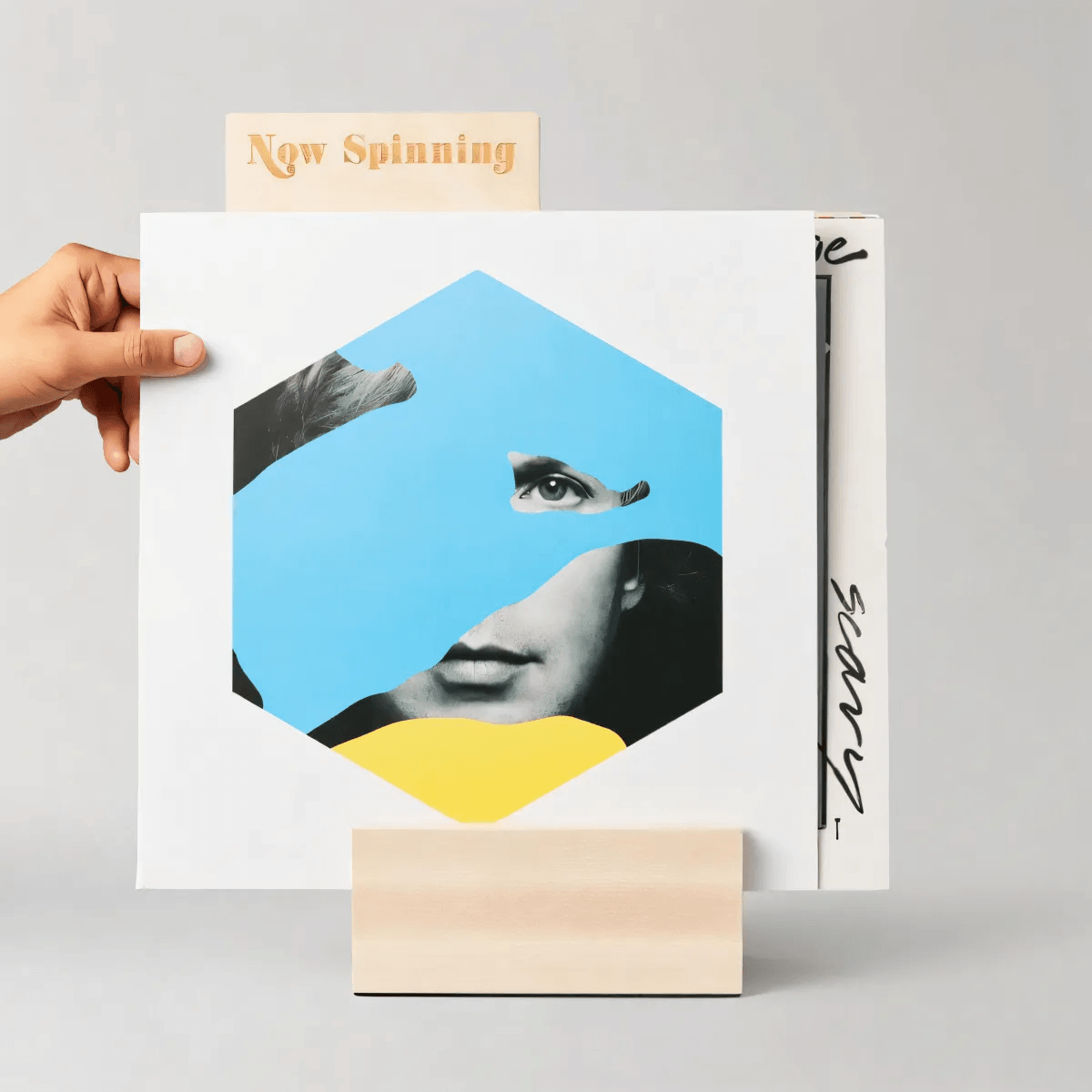 9 articles indispensables dont tout collectionneur de disques a besoin by Tiffany Lovings