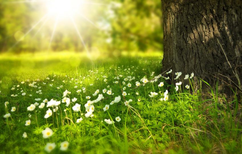10 Simple And Convenient Ways To Be Environmentally Friendly At Home 10 Simple And Convenient Ways To Be Environmentally Friendly At Home by Chris Ruan