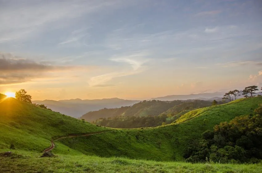 Green hills Green hills
