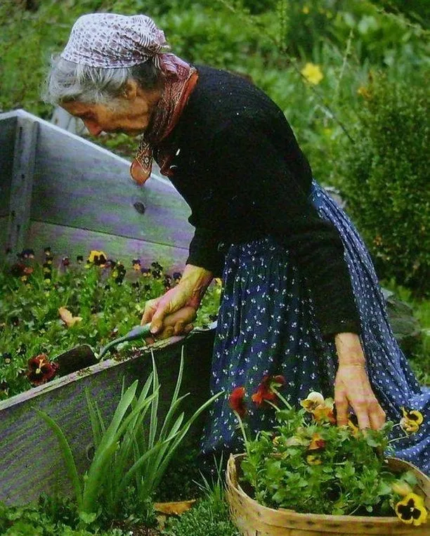 lady gardening lady gardening
