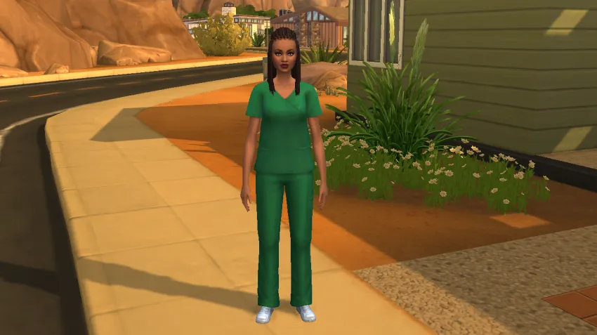 custom Sim Sims 4