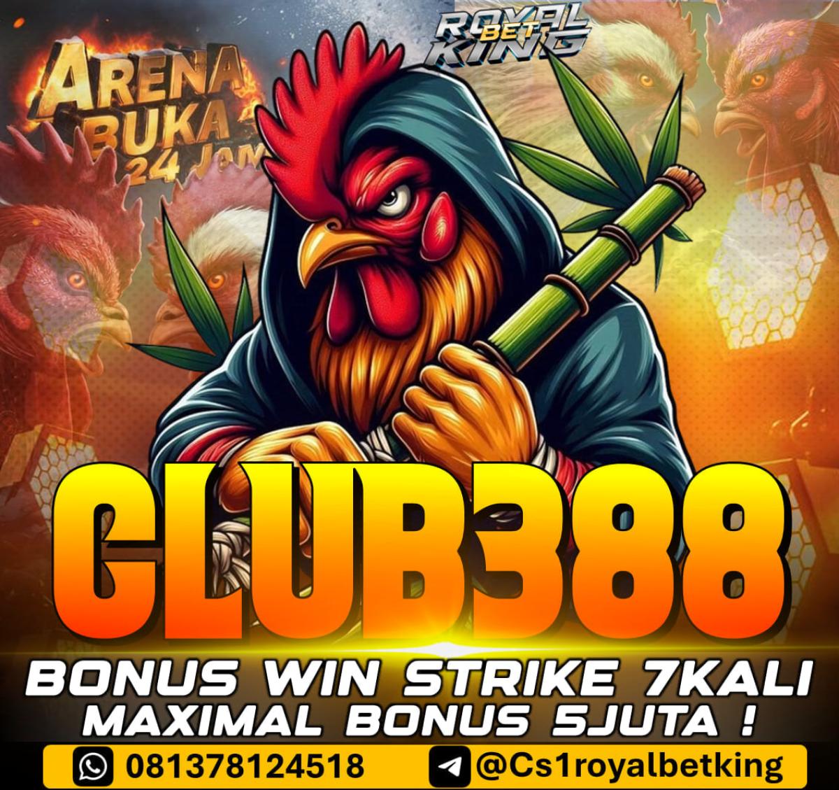 ROYALBETKING X AGEN SABUNG AYAM ONLINE CLUB388 by AGENROYALBETKING