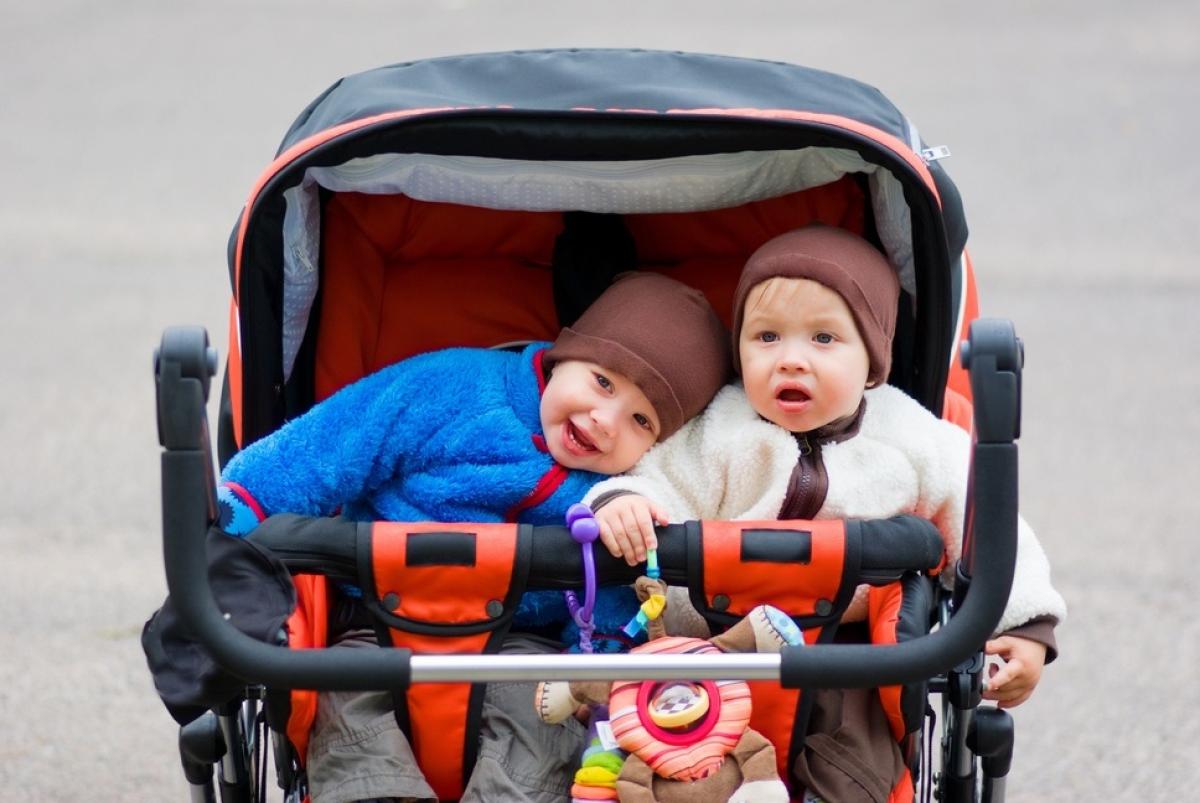 What Are The Must-have Twin Baby Accessories For Newborns? by steveehicks