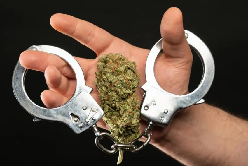 marijuana arrests increase, Forbes Forbes, marijuana arrests increase