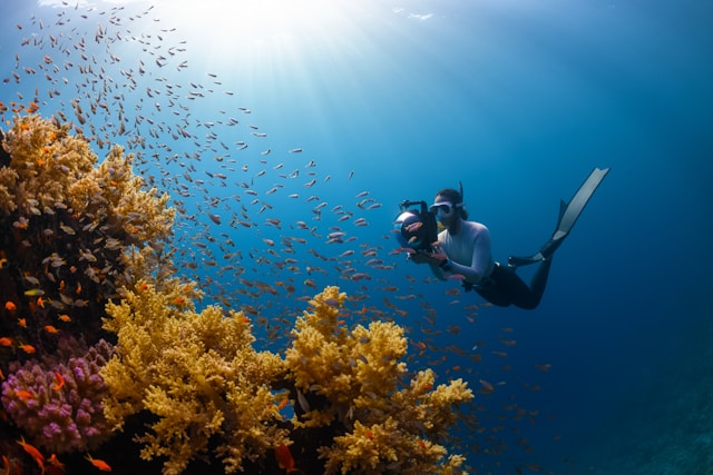 Scuba Diving Sites In Neil Island – Explore The Underwater Paradise by propertypartners