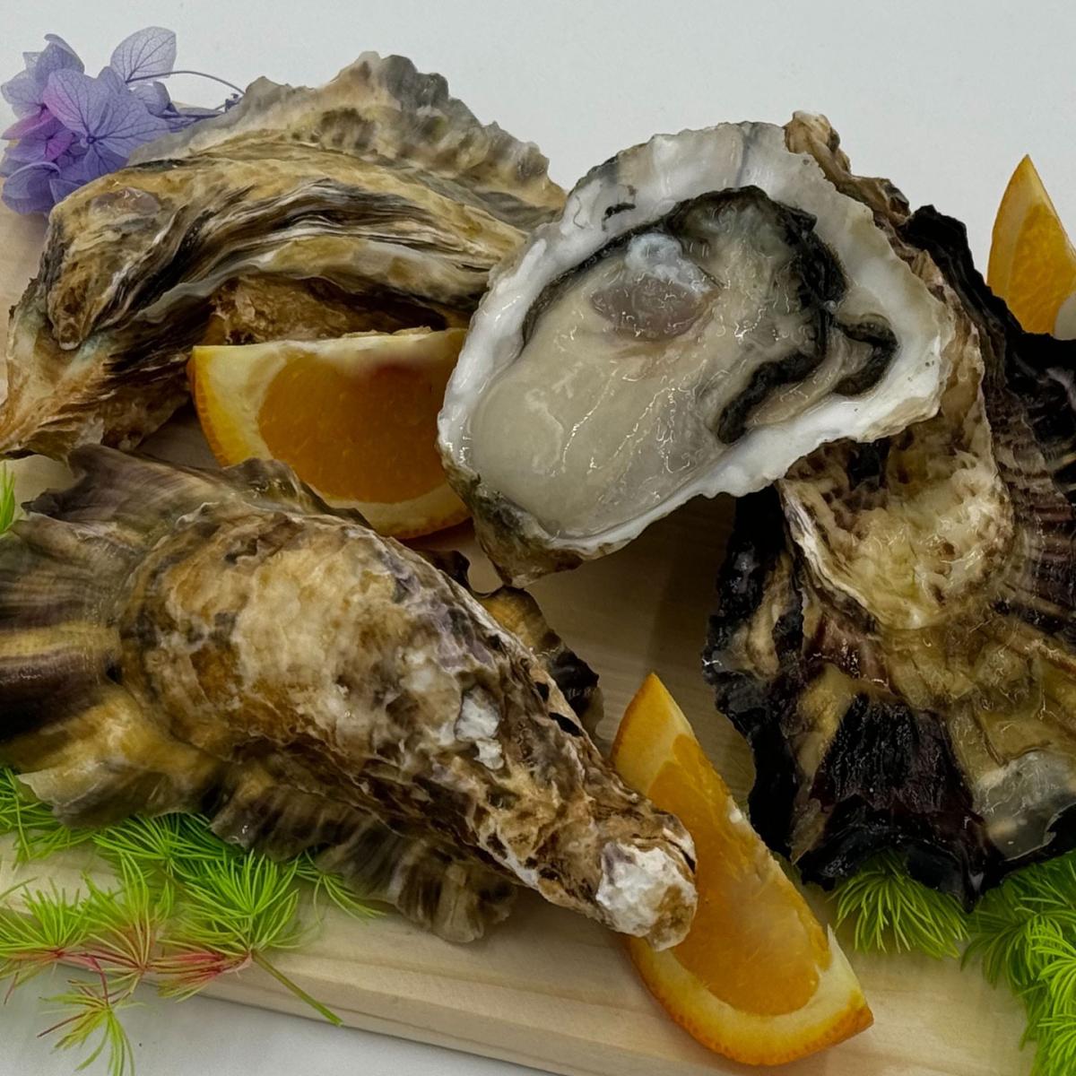 Luxury Food – Gourmet Caviar, Truffles & Premium Oysters In Dubai Luxury Food – Gourmet Caviar, Truffles & Premium Oysters In Dubai by Luxury Food