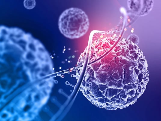 Can Stem Cell Therapy Help Slow Or Reverse Age-Related Changes? by cdynmic