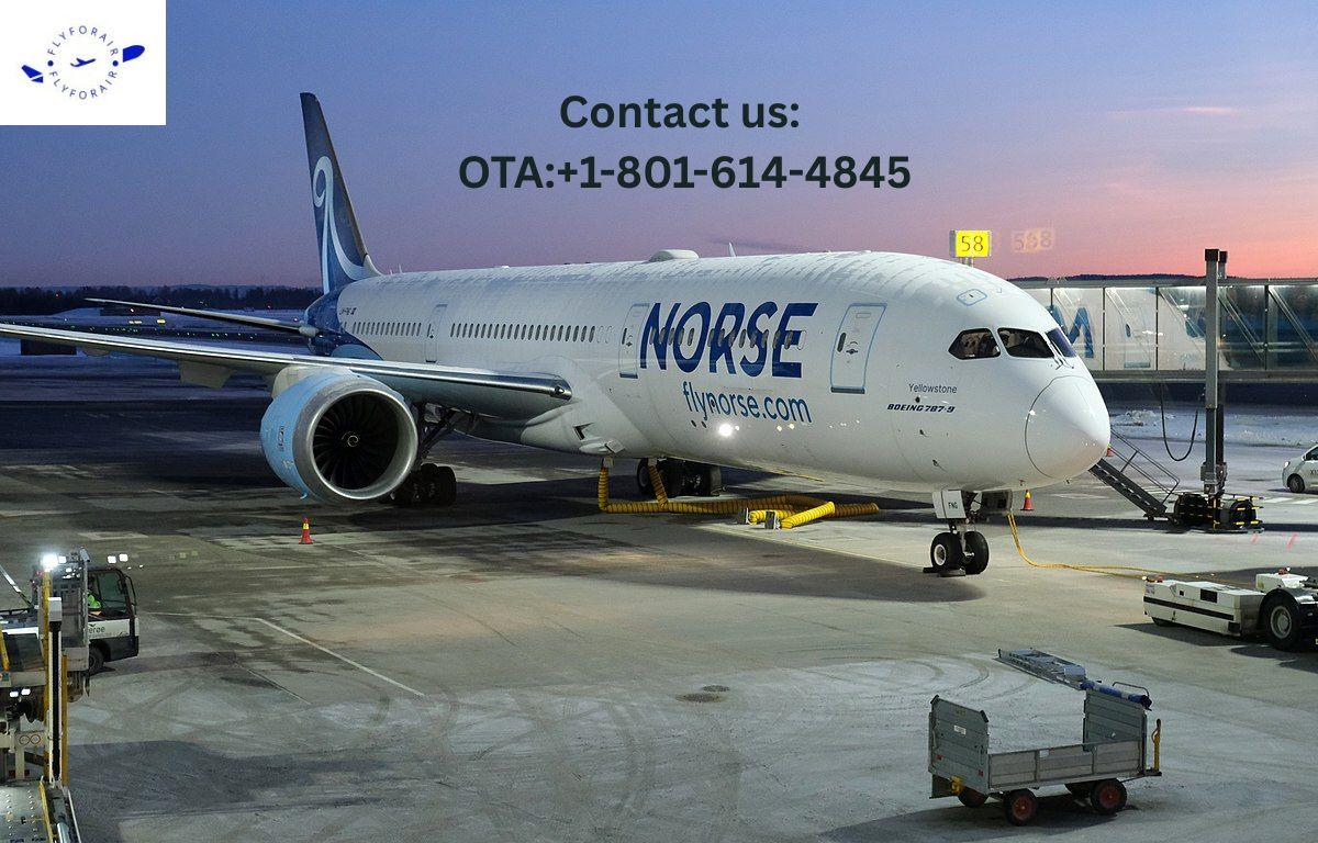 How Do I Talk To A Human At Norse? Skip The Bots How Do I Talk To A Human At Norse? Skip The Bots by thorqwe