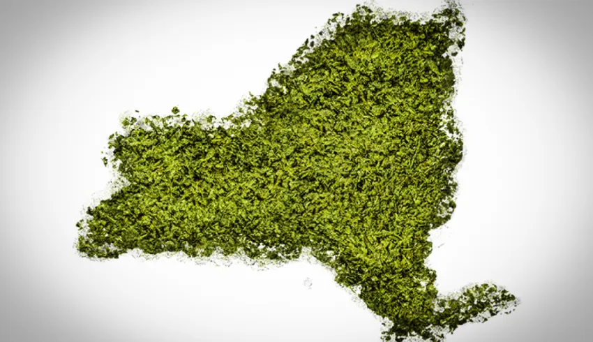 City and State, new york legalizes marijuana city and state, new york, recreational marijuana