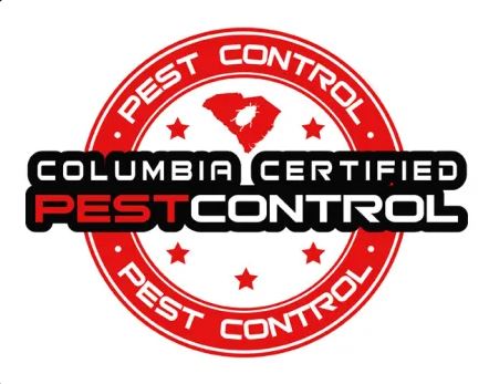 Heat-Based Bed Bug Treatment Explained by kafeelansari1