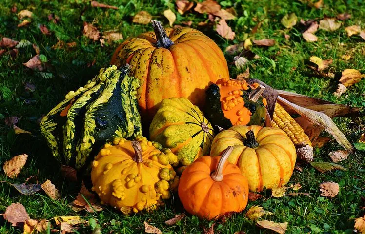 many colorful pumpkins