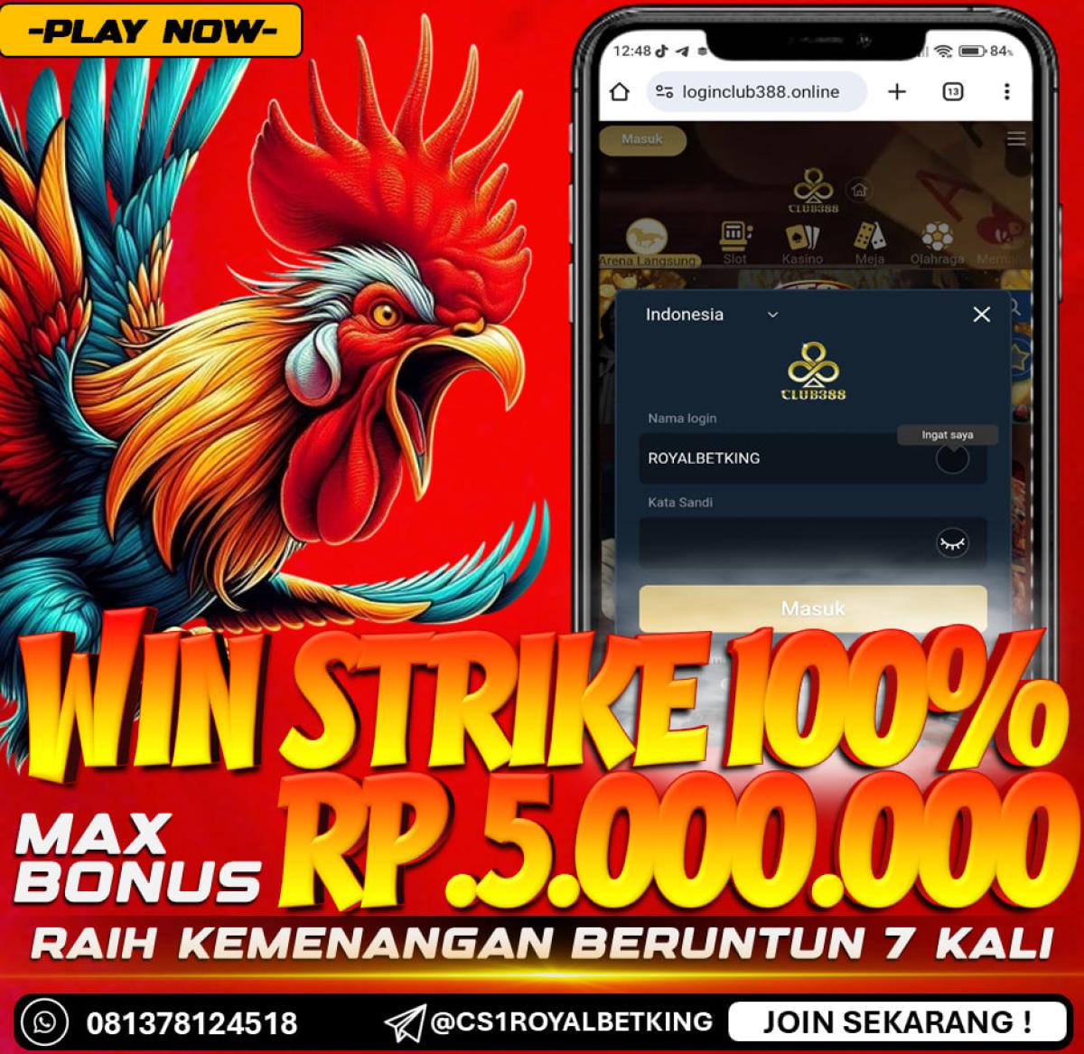 BONUS SABUNG AYAM ONLINE 100% | AGEN CLUB388 by AGENROYALBETKING